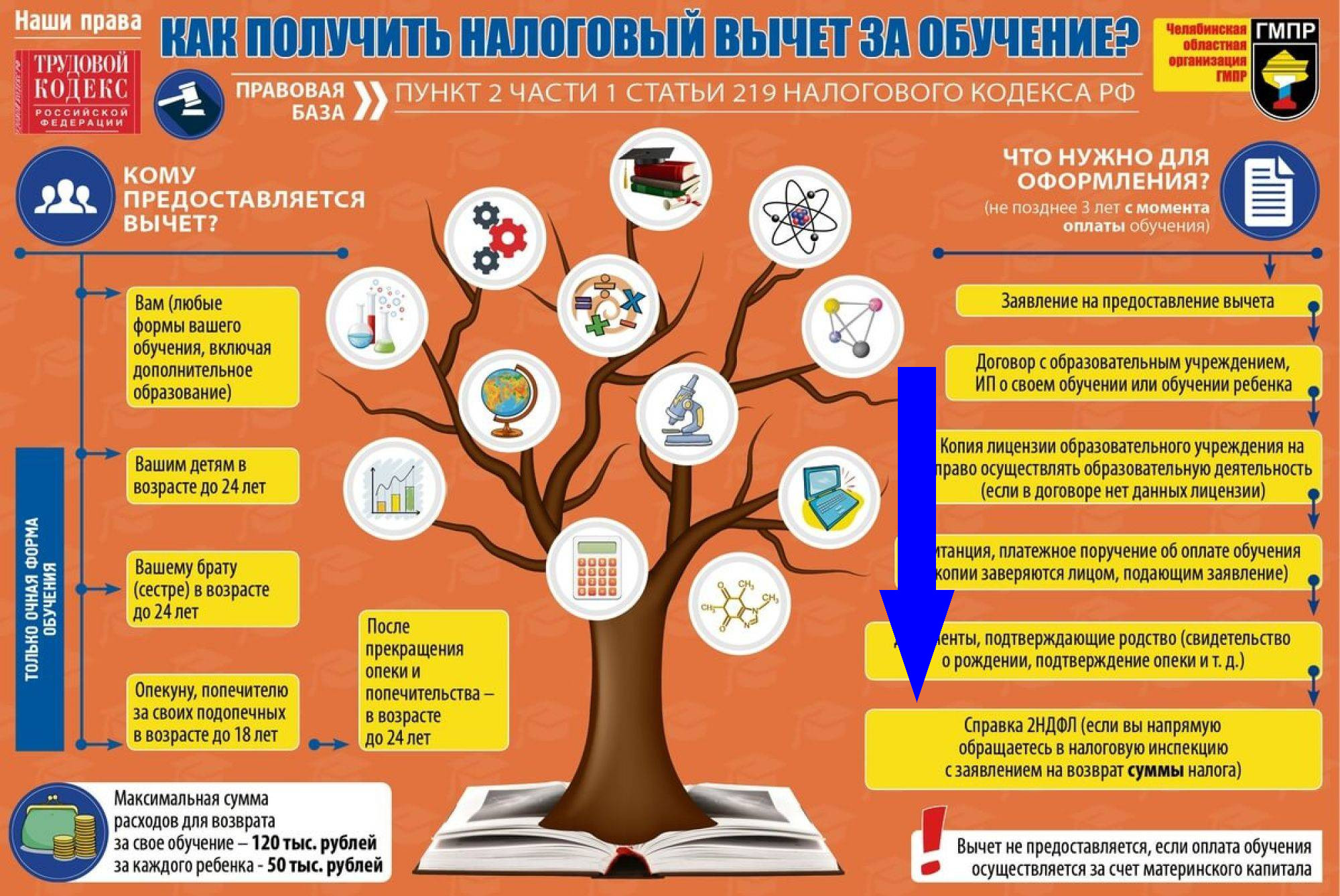Налоги и дети: как вернуть деньги с помощью вычетов